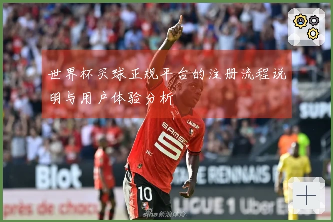 世界杯买球正规平台的注册流程说明与用户体验分析
