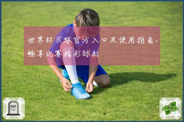 世界杯买球官方入口及使用指南，畅享比赛精彩时刻