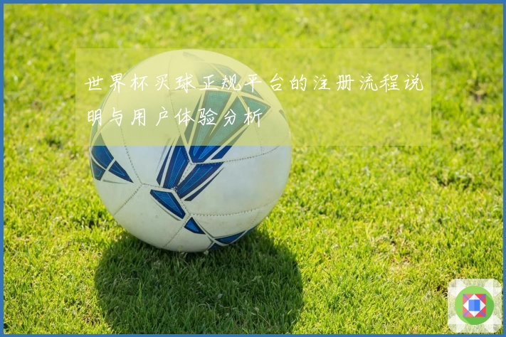 世界杯买球正规平台的注册流程说明与用户体验分析
