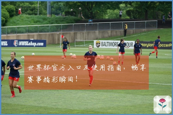 世界杯官方入口及使用指南，畅享赛事精彩瞬间！