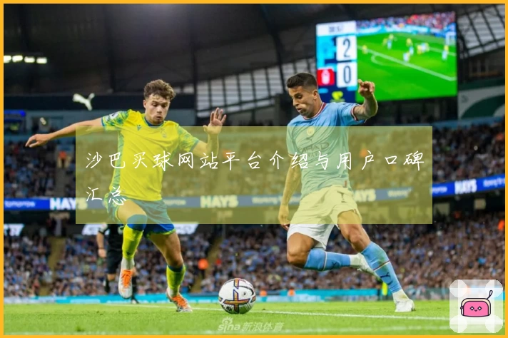 沙巴买球网站平台介绍与用户口碑汇总