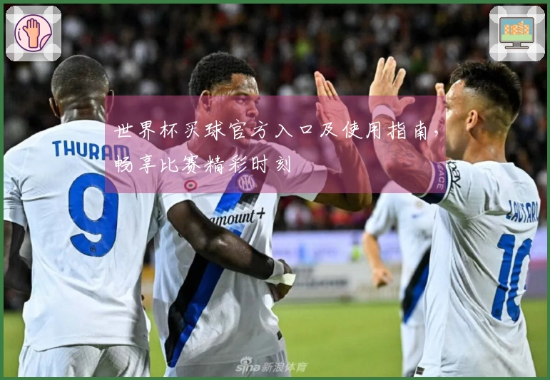 世界杯买球官方入口及使用指南，畅享比赛精彩时刻