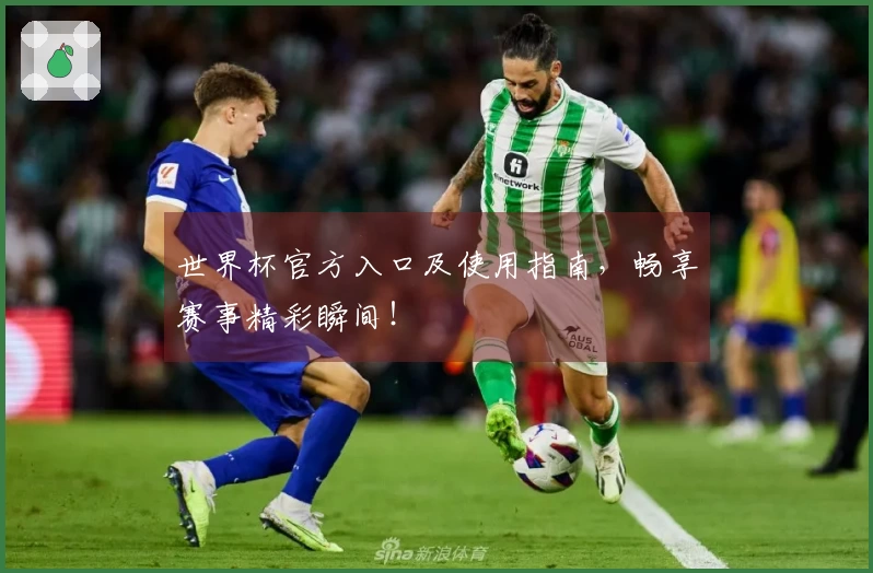 世界杯官方入口及使用指南，畅享赛事精彩瞬间！