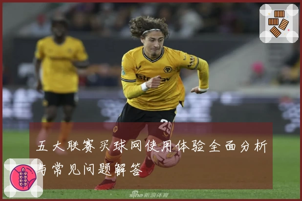 五大联赛买球网使用体验全面分析与常见问题解答