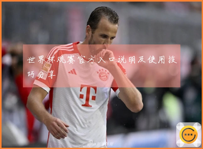 世界杯观赛官方入口说明及使用技巧分享