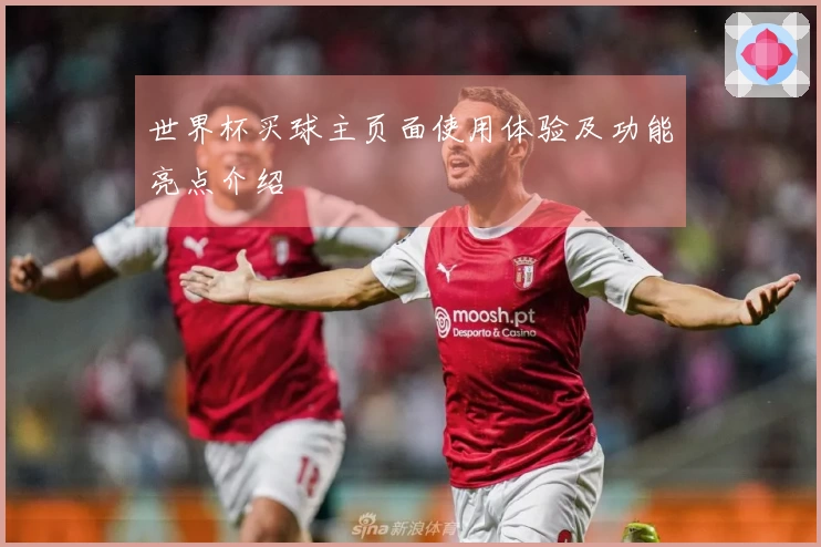 世界杯买球主页面使用体验及功能亮点介绍